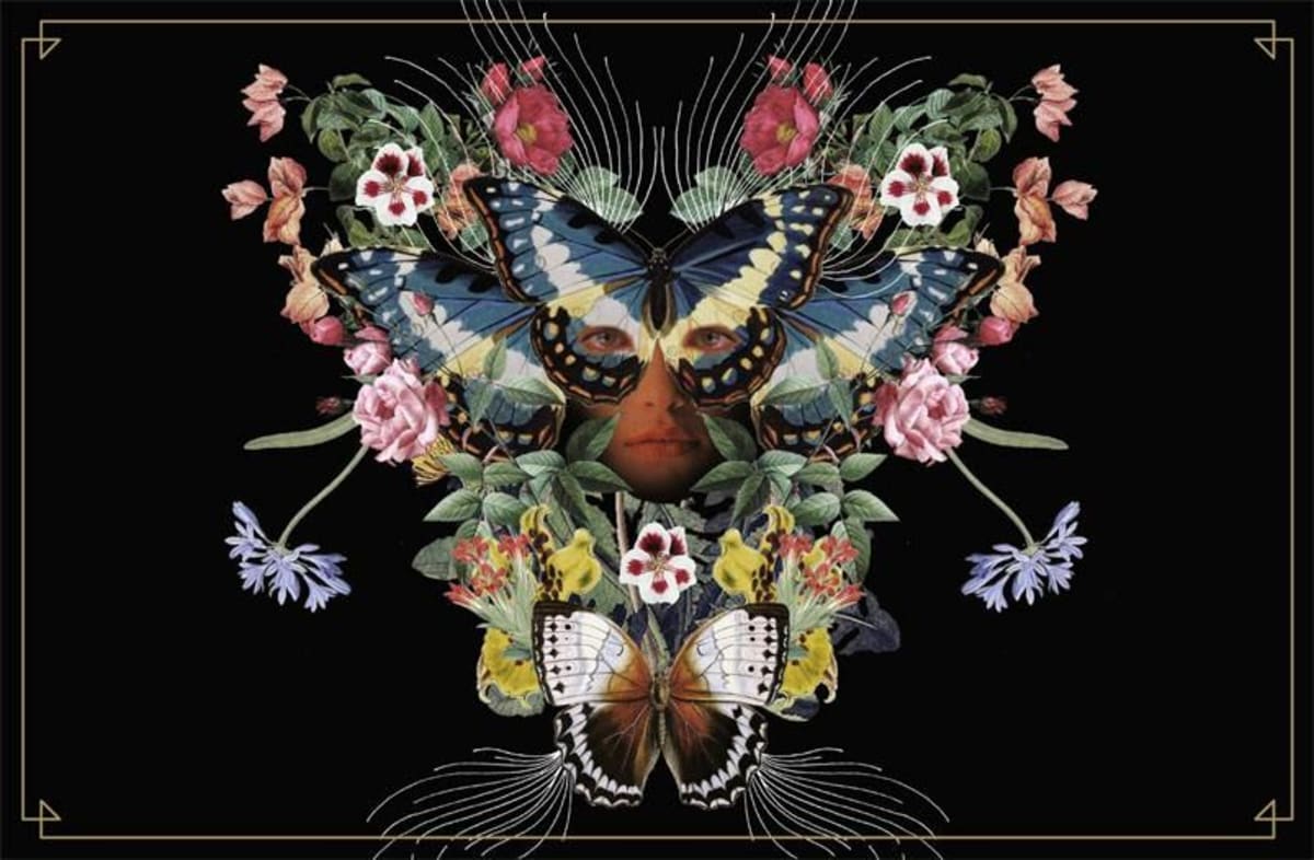 Adelina Wines Shiraz-Mataro 2015 Front Label