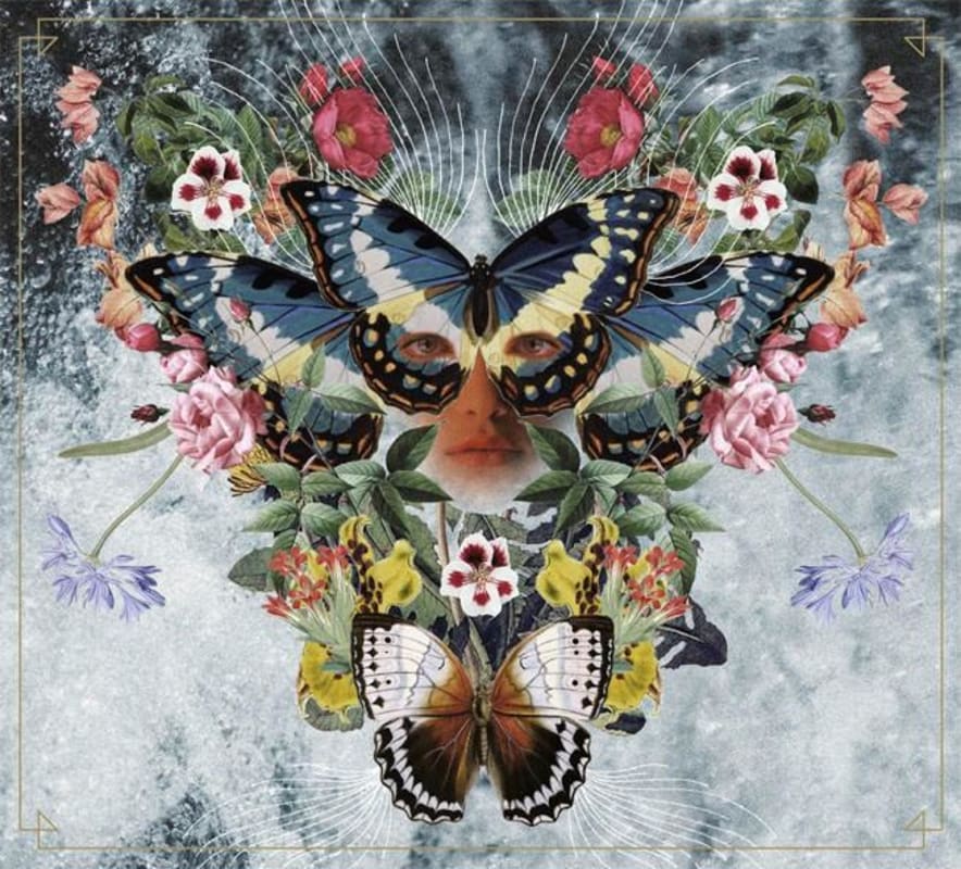 Adelina Wines Polish Hill River Riesling 2015 Front Label