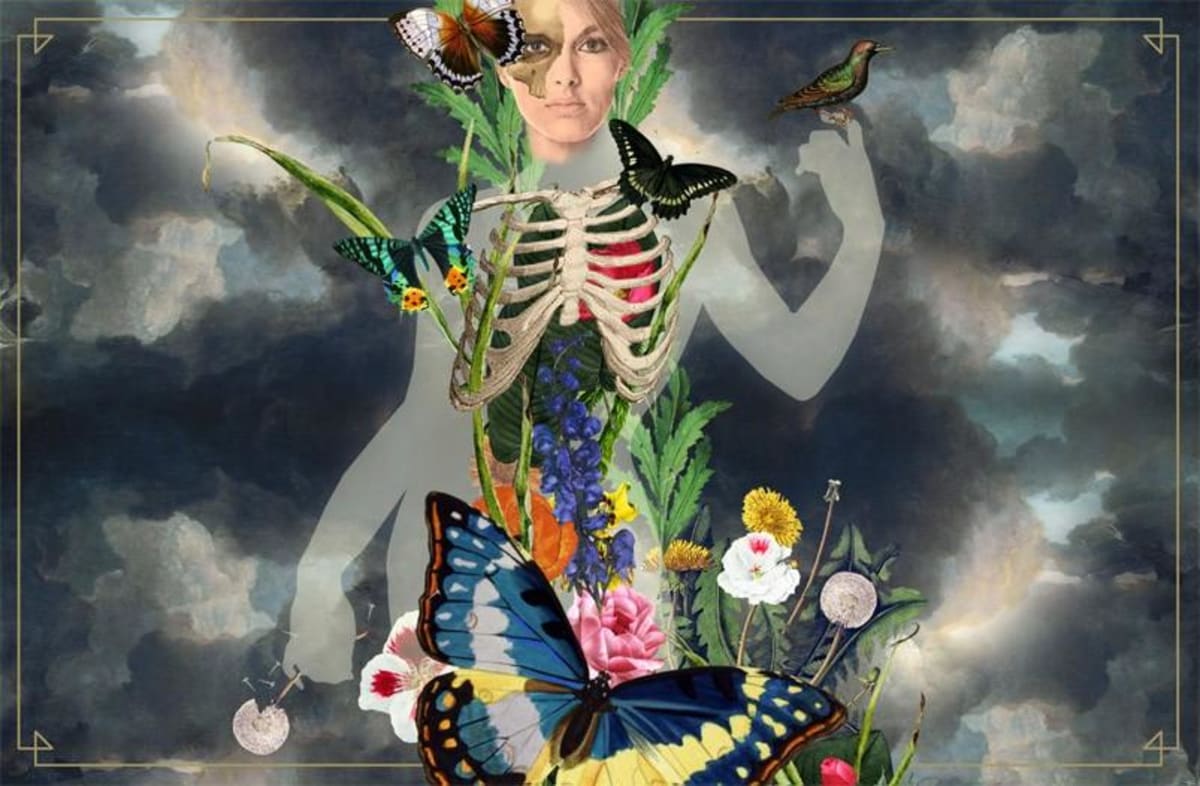 Adelina Wines Nebbiolo 2011 Front Label