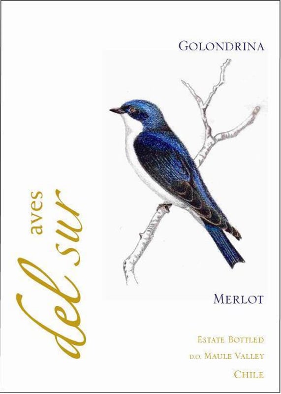 Aves del Sur Wines Maule Valley Merlot 2014 Front Label