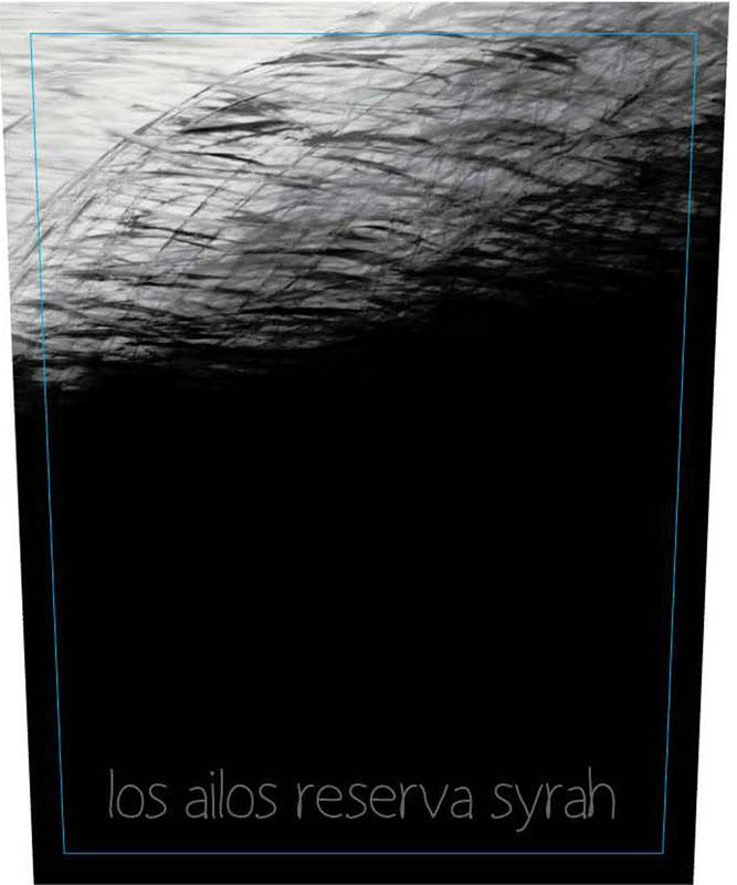 Ayllus Los Ailos Reserva Syrah 2013 Front Label