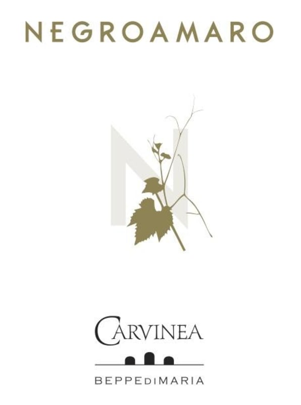 Azienda Agricola Carvinea Salento Negroamaro 2013 Front Label