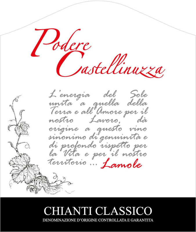 Azienda Agricola Castellinuzza Chianti Classico 2012 Front Label