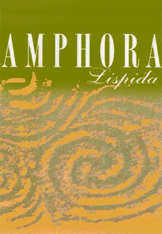 Azienda Agricola Castello di Lispida Veneto Amphora Bianco 2014 Front Label
