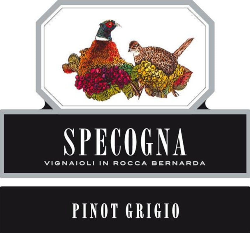 Azienda Agricola Specogna Pinot Grigio 2013 Front Label