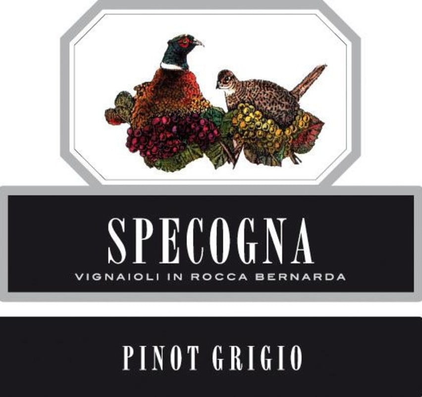 Azienda Agricola Specogna Pinot Grigio 2010 Front Label