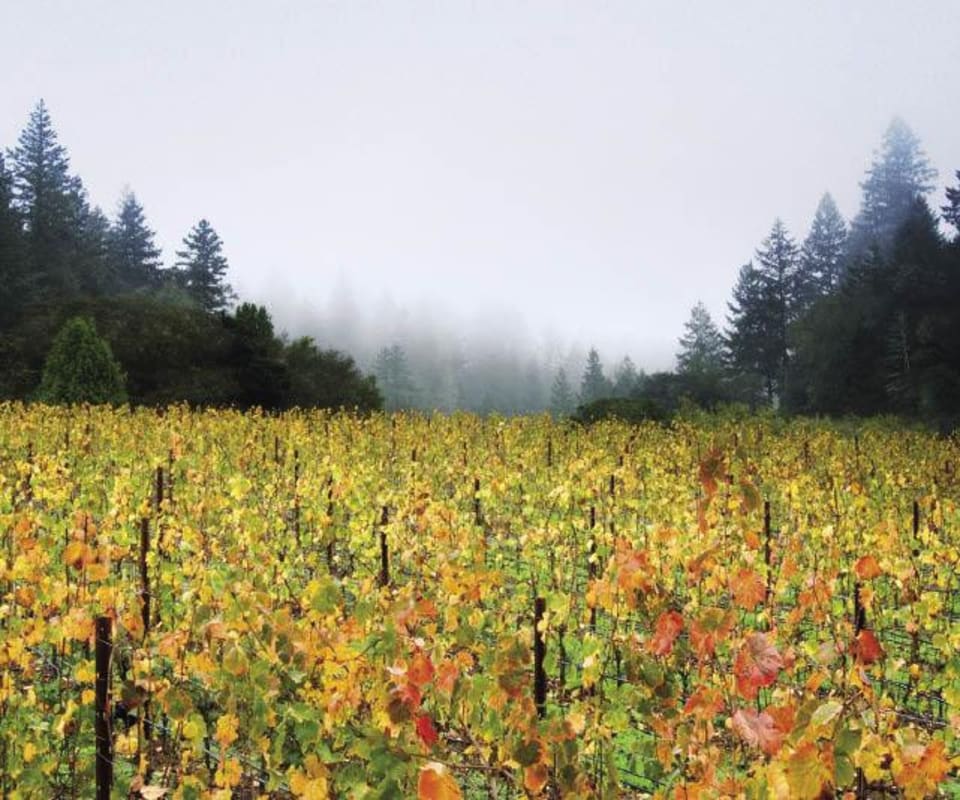 Red Car Heaven & Earth Pinot Noir 2007 Front Label