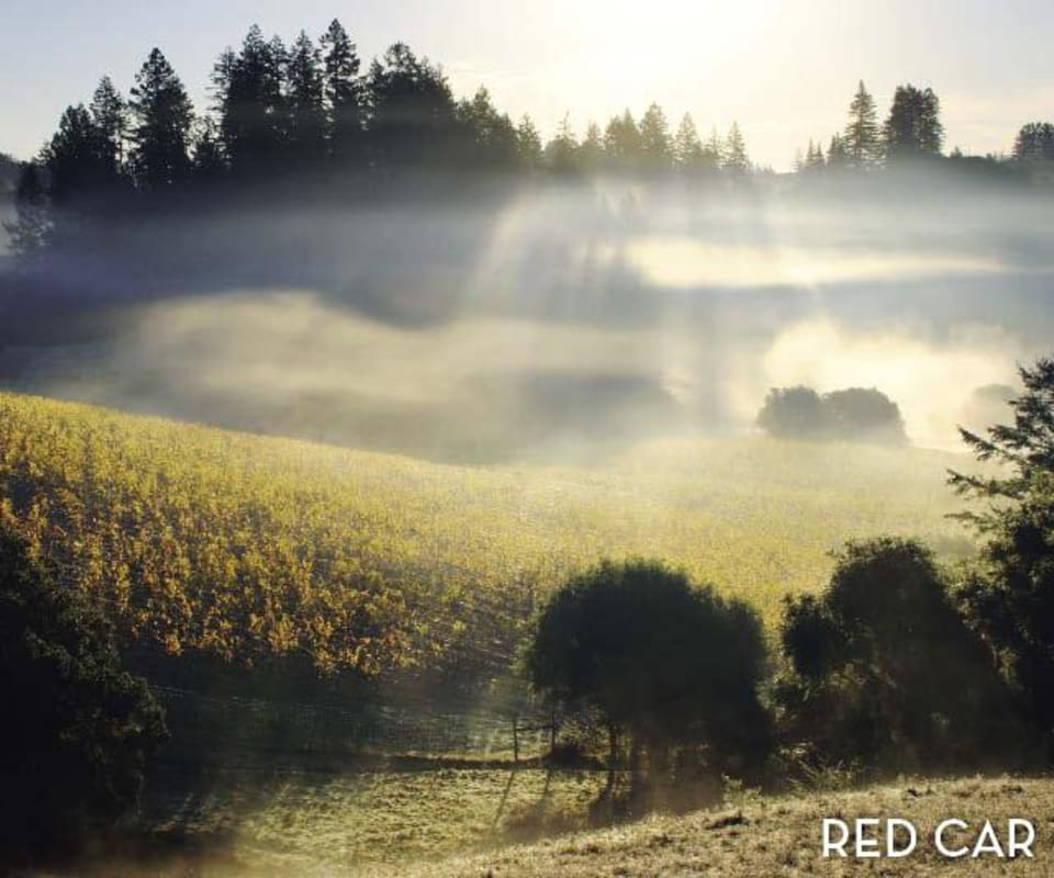Red Car Heaven & Earth Pinot Noir 2008 Front Label