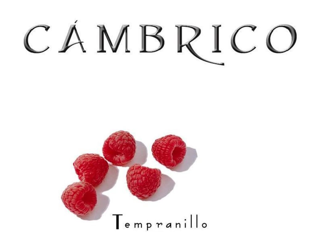 Bodega Cambrico Sierra de Salamanca Vino de Calidad Tempranillo 2004 Front Label