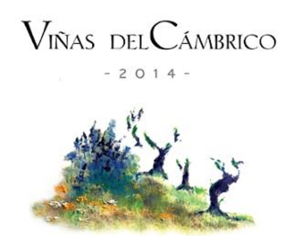 Bodega Cambrico Sierra de Salamanca Vinas l Cambrico Vino Calidad 2014 Front Label