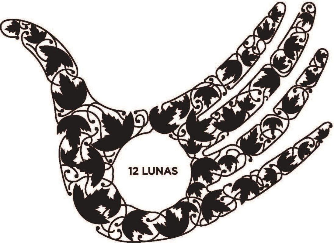 Bodega El Grillo 12 Lunas Blanco 2015 Front Label