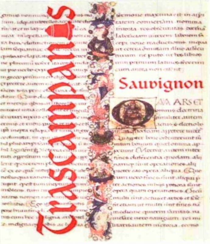 Bodega Gotica Trascampanas Sauvignon Blanc 2009 Front Label