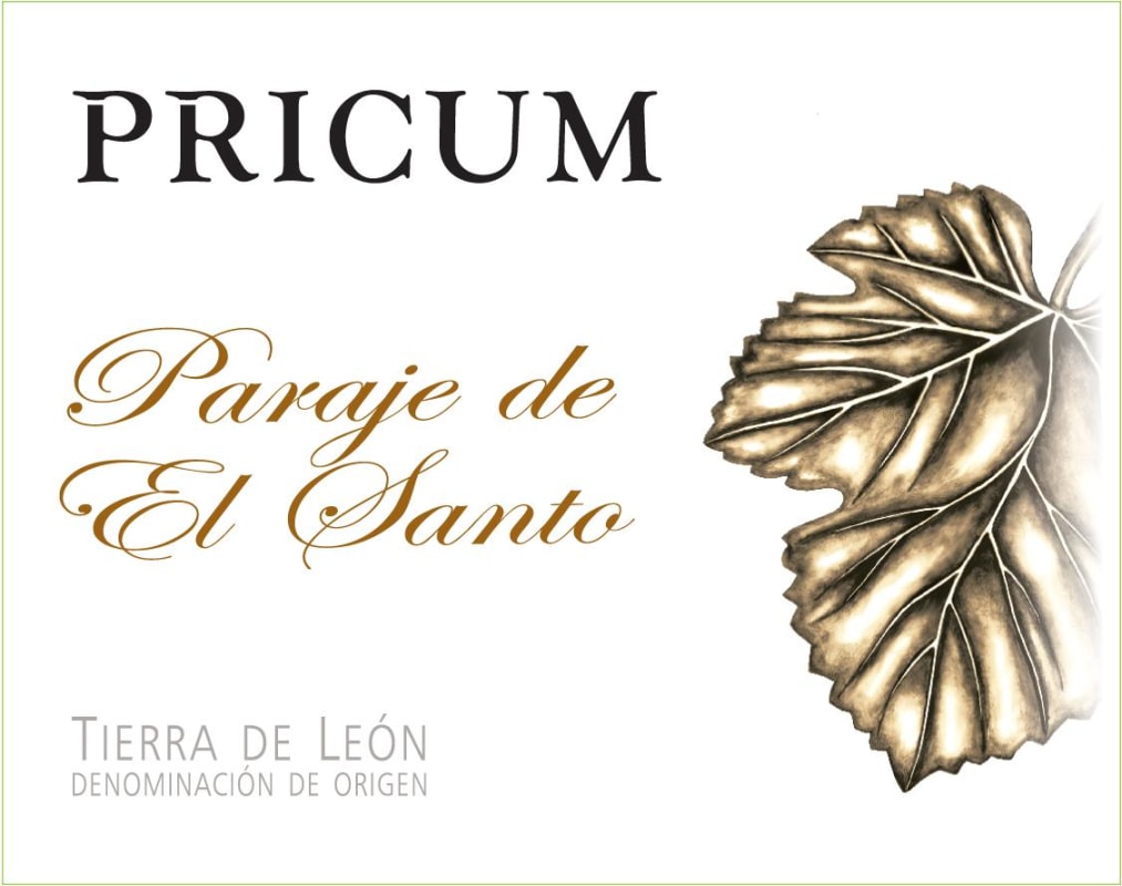 Bodegas Margon Paraje de El Santo 2009 Front Label