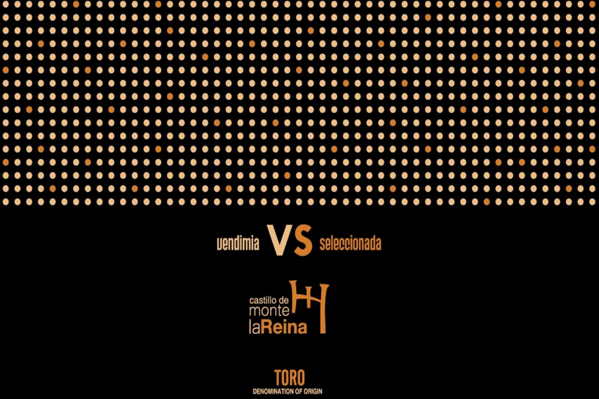 Bodegas Monte La Reina Castillo de Monte la Reina Vendimia Seleccionada 2006 Front Label