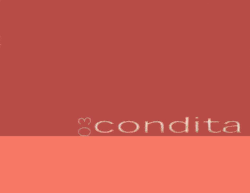 Bodegas Ramiro Wine Cellar Condita Vino de la Tierra 2003 Front Label