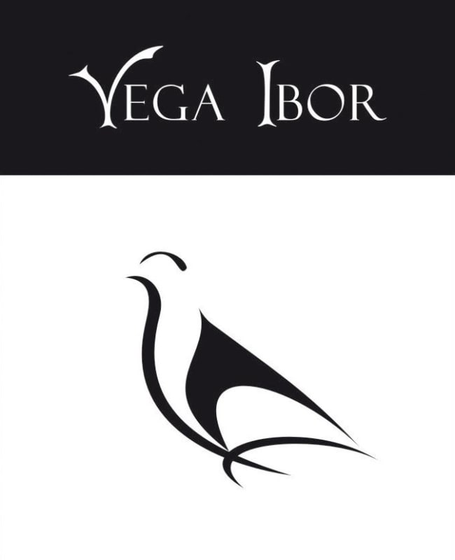 Bodegas Real Vega Ibor Vino de la Tierra Tempranillo 2009 Front Label