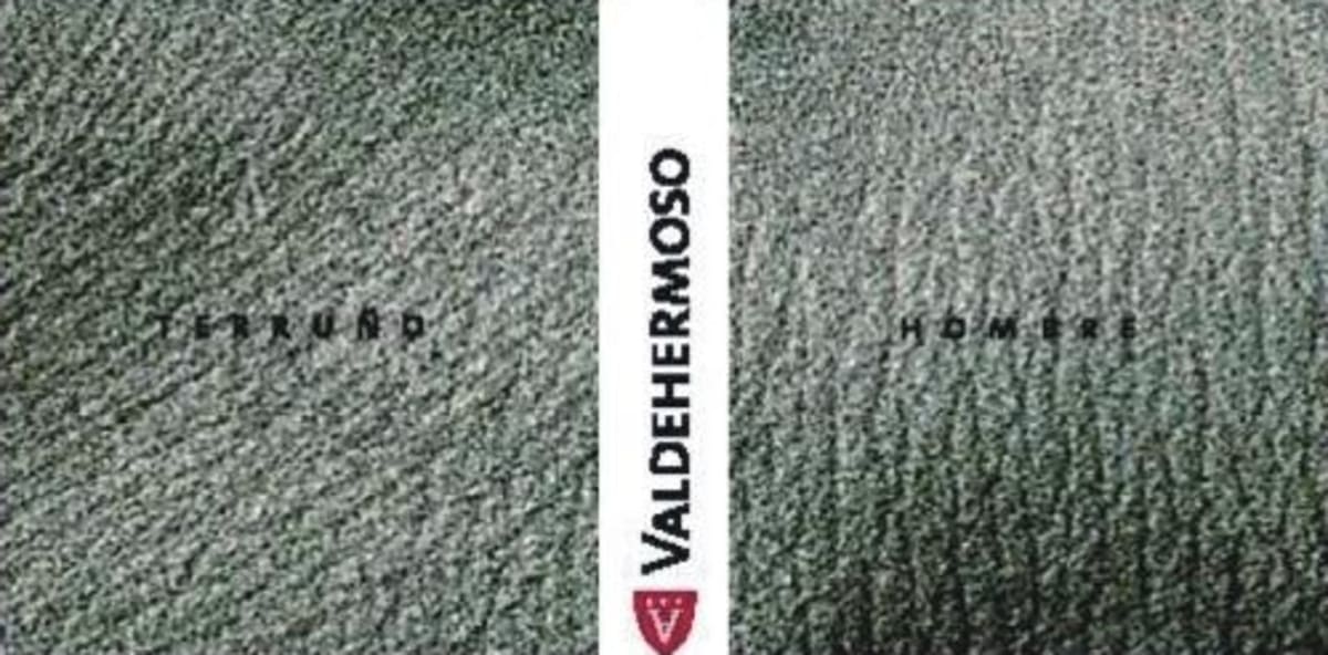 Bodegas Valderiz Senorio de Valdehermoso Terruno Hombre Roble 2007 Front Label