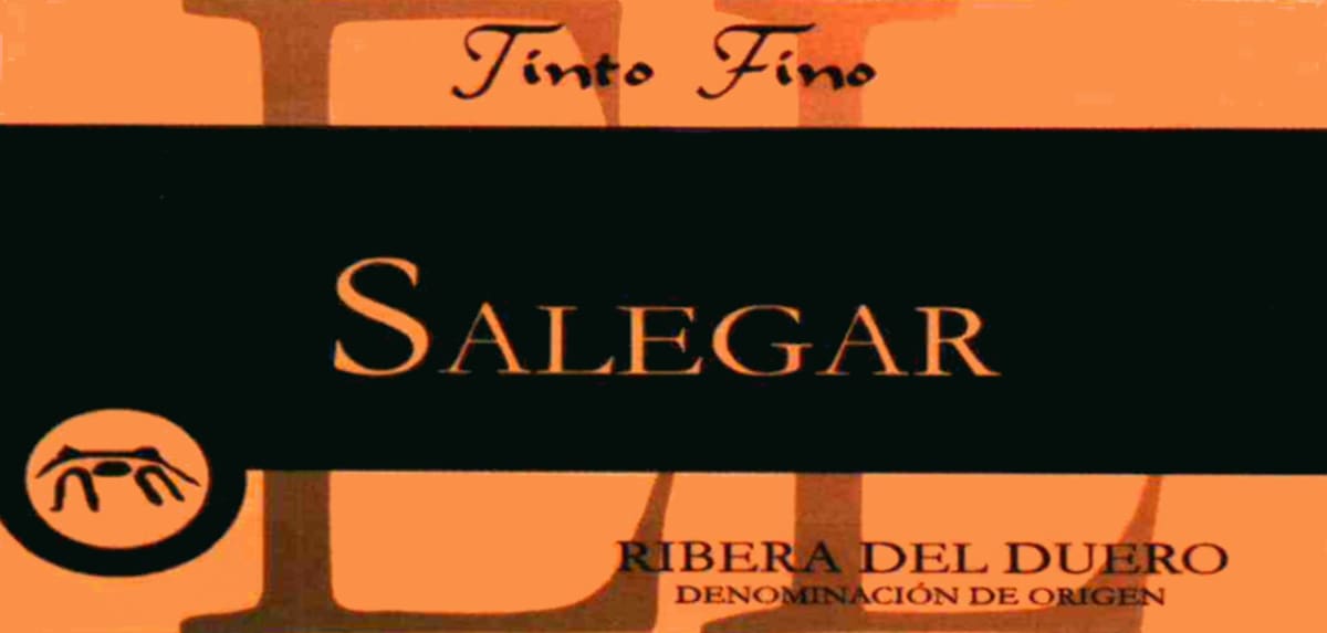 Bodegas Valle de Monzon Salegar Tinto Fino 2007 Front Label