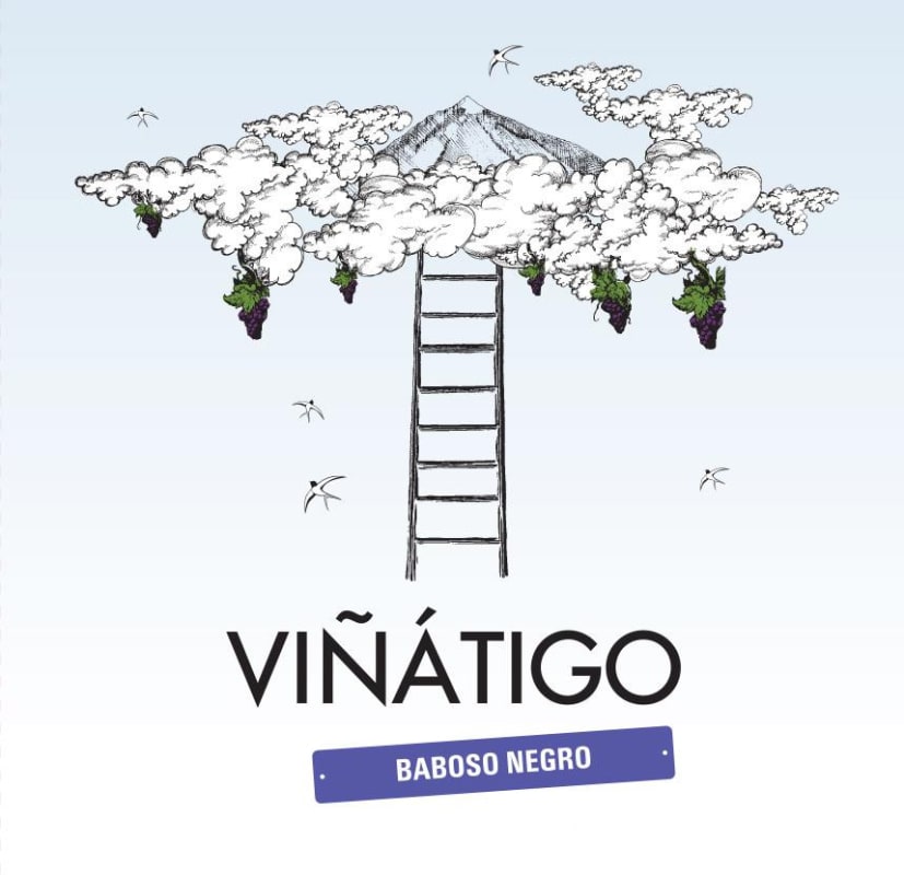 Bodegas Vinatigo Baboso 2013 Front Label