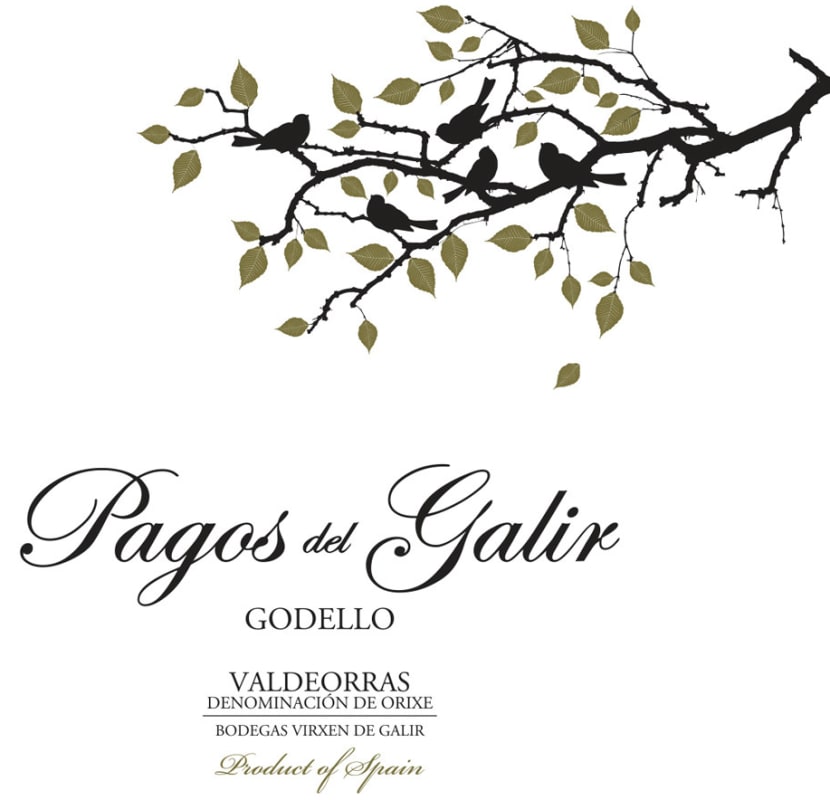 Bodegas Virgen del Galir Pagos del Galir Godello 2012 Front Label
