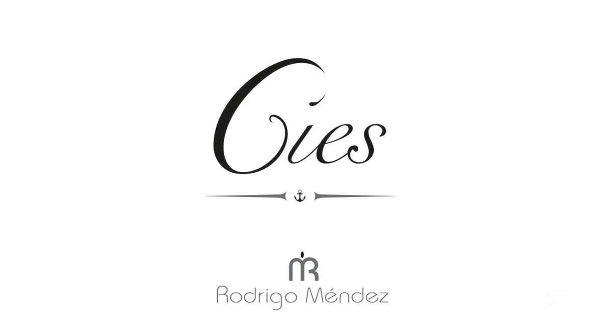 Bodegas y Vinedos Rodrigo Mendez Cies Albarino 2013 Front Label