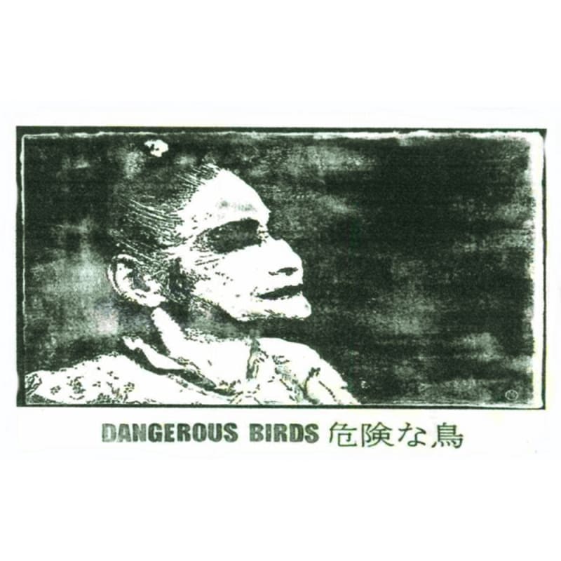 Sine Qua Non Dangerous Birds Syrah (bomber label) 2007 Front Label