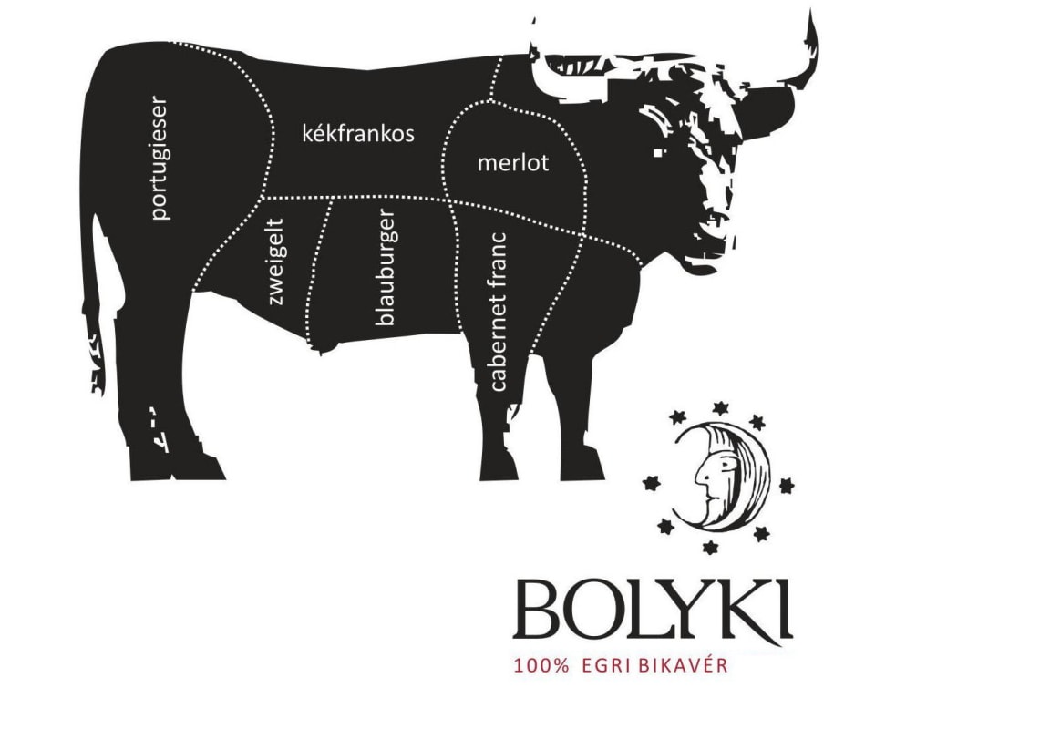 Bolyki Pinceszet es Szolobirtok Janos Pinceszete 100 Bikaver Egri Bikaver 2011 Front Label