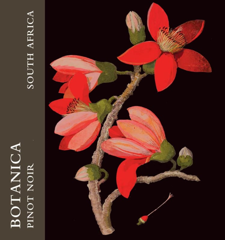 Botanica Wines Pinot Noir 2013 Front Label