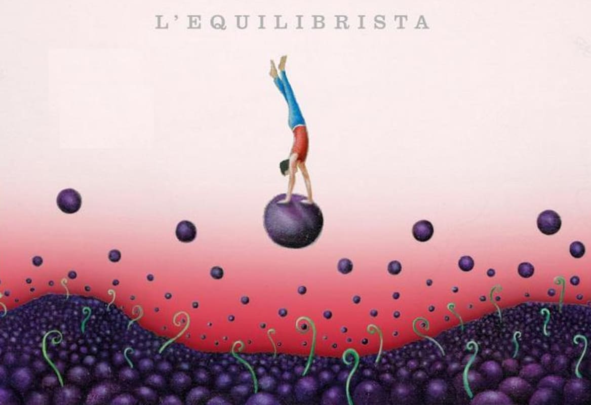Ca N'estruc L'Equilibrista Negre 2013 Front Label