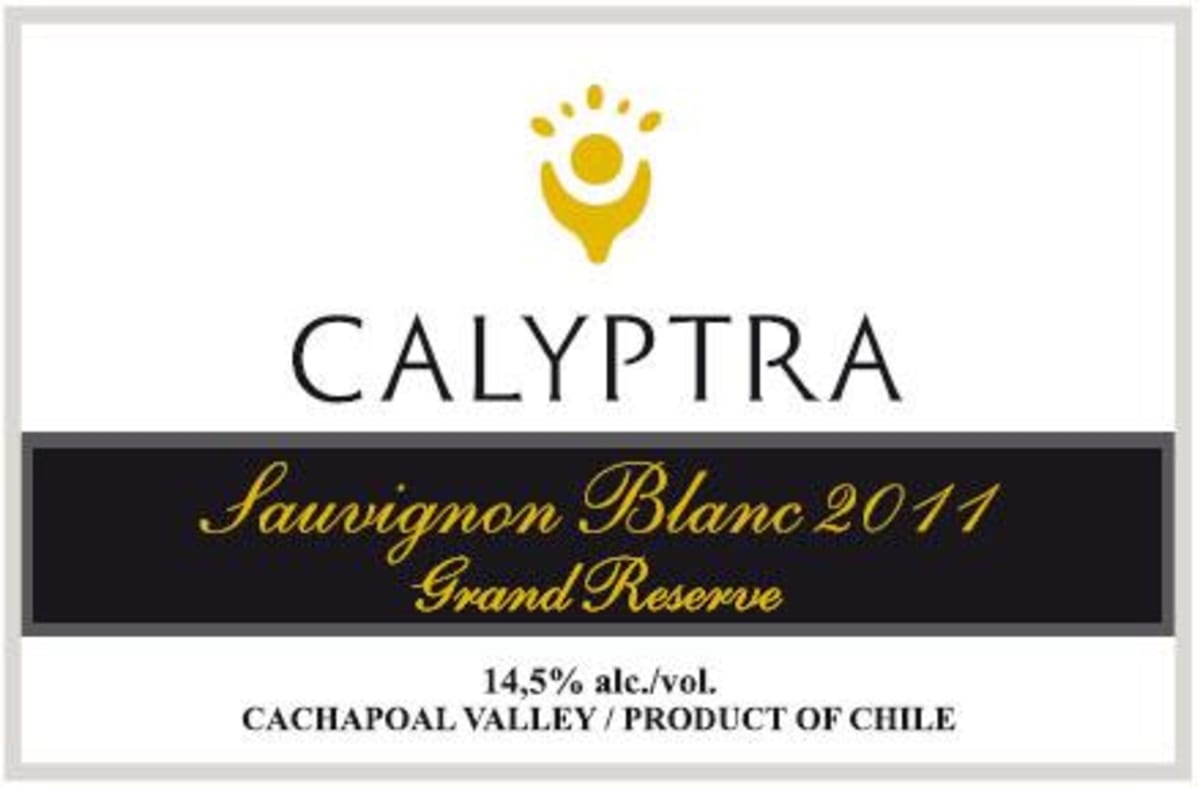 Calyptra Vinedos y Bodega Gran Reserva Sauvignon Blanc 2011 Front Label