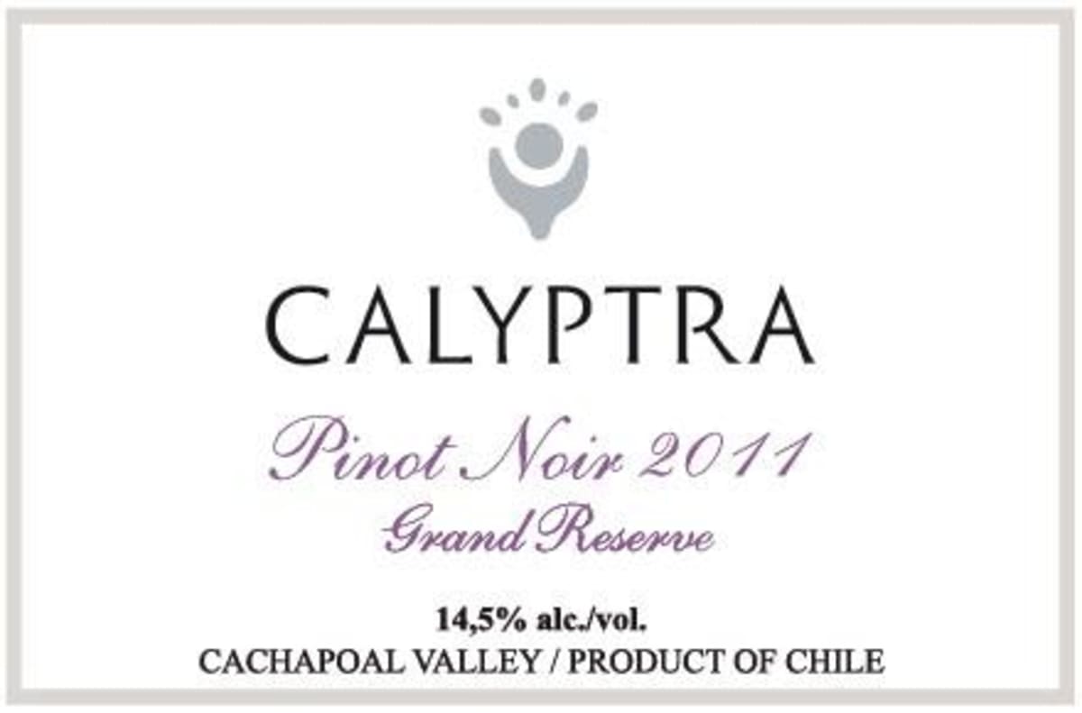 Calyptra Vinedos y Bodega Gran Reserva Pinot Noir 2011 Front Label