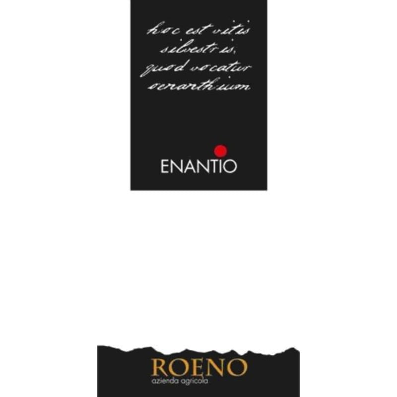 Cantina Roeno Valdadige Terradeiforti Enantio 2008 Front Label