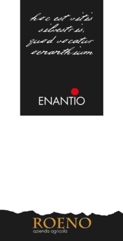 Cantina Roeno Valdadige Terradeiforti Enantio 2011 Front Label