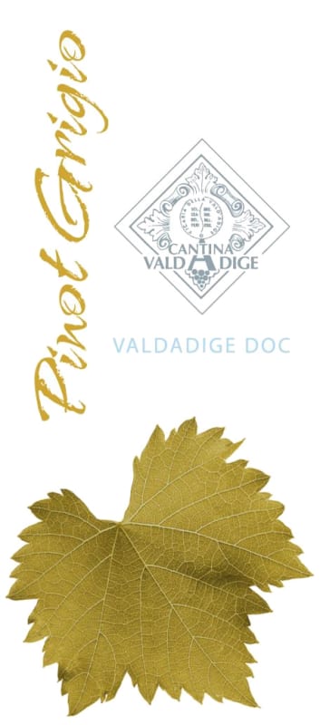 Cantina Valdadige Valdadige Pinot Grigio 2013 Front Label