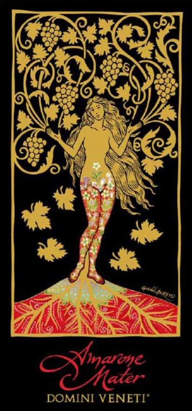 Domini Veneti Amarone della Valpolicella Classico Riserva Mater 2008 Front Label