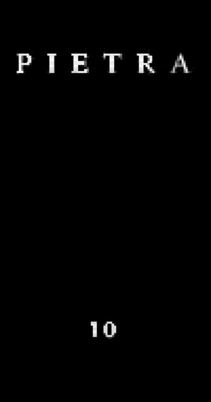 Cantine Menhir Salento Salento Pietra Rosso 2010 Front Label