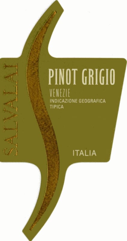 Cantine Salvalai Delle Venezie Pinot Grigio 2013 Front Label