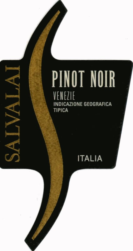 Cantine Salvalai Delle Venezie Pinot Noir 2012 Front Label