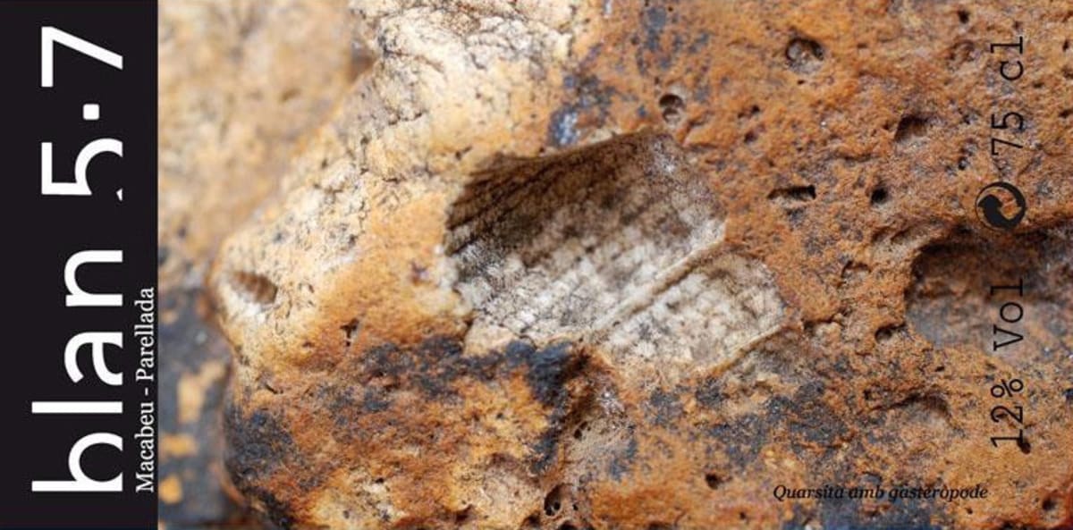 Celler Jordi Llorens Blan 5.7 2013 Front Label