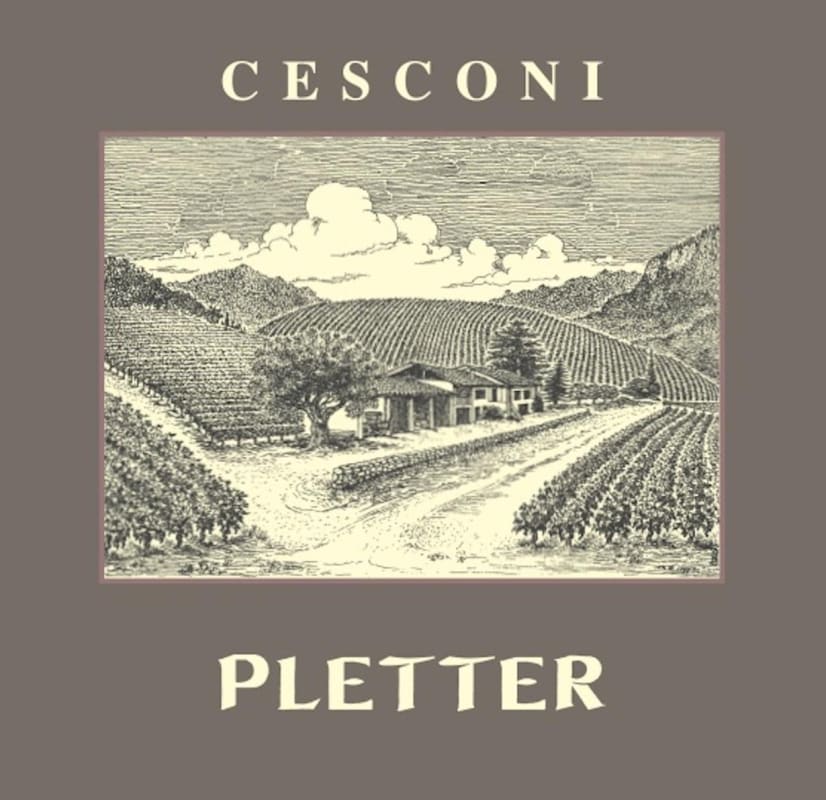 Cesconi Trentino Pletter Lagrein 2009 Front Label