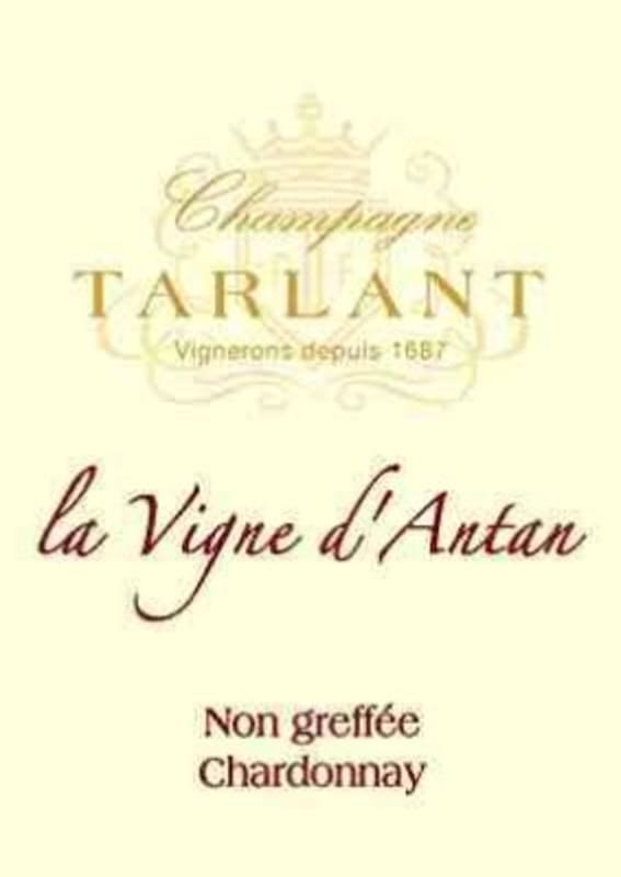 Champagne Tarlant Champagne La Vigne d'Antan Non greffée Chardonnay 2000 Front Label