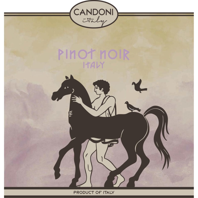 Candoni Pinot Noir 2014 Front Label