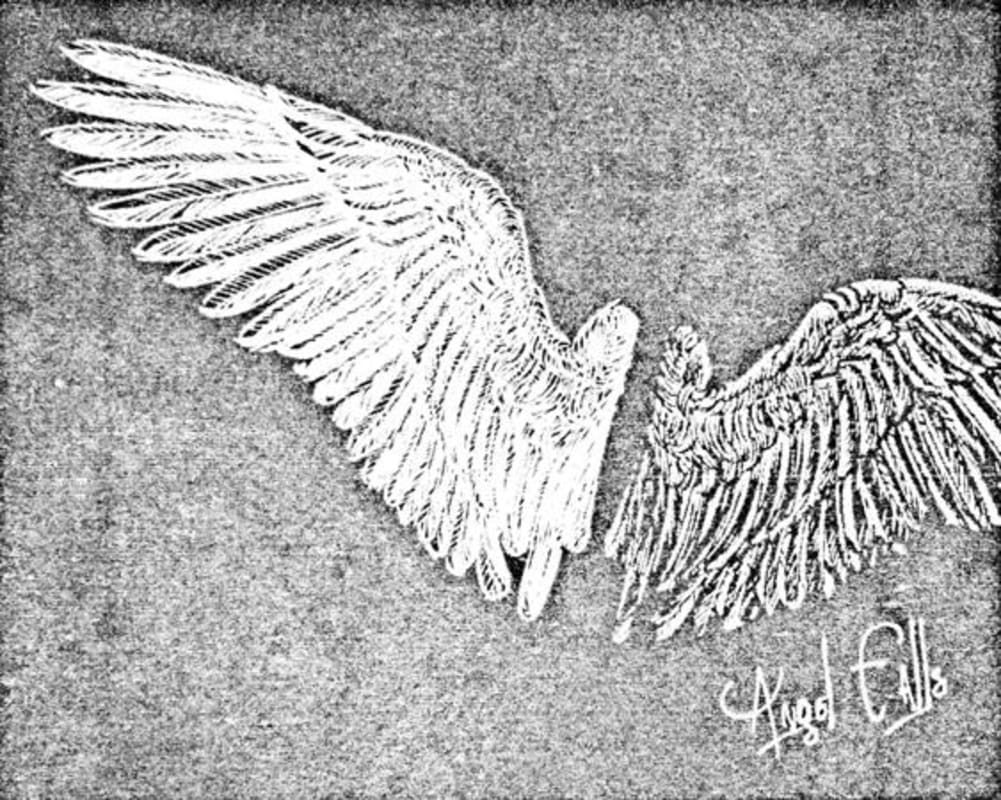 Stolpman Vineyards Angel Falls Syrah 2012 Front Label