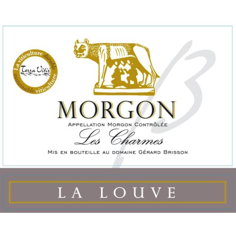 Domaine Brisson Morgon 2012 Front Label