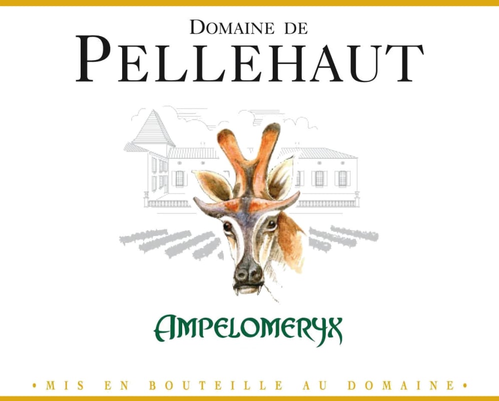 Domaine de Pellehaut Ampelomeryx Blanc 2009 Front Label