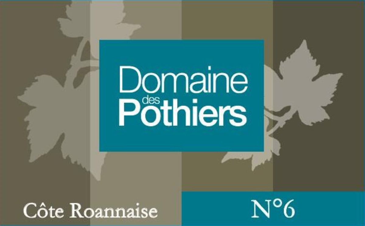 Domaine des Pothiers Cote Roannaise No 6 2015 Front Label