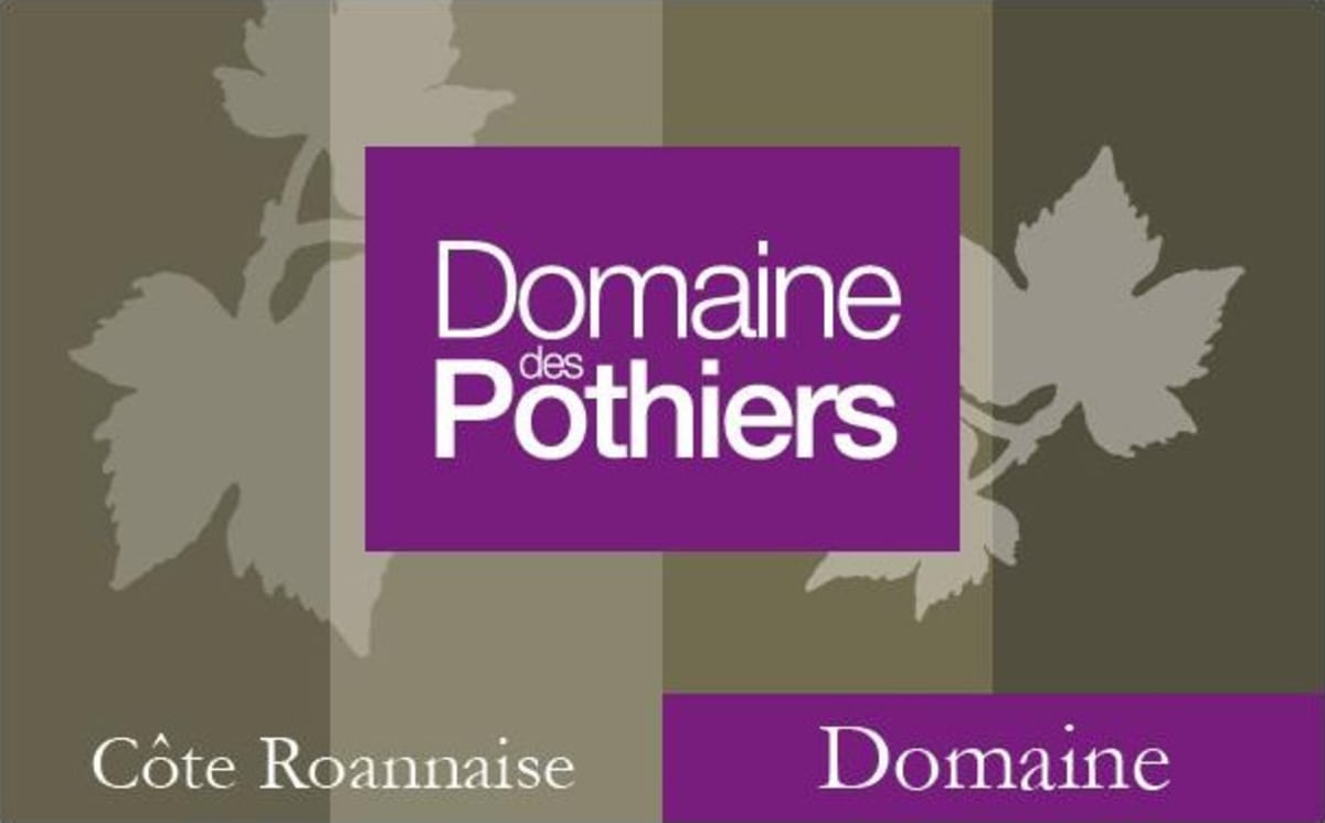 Domaine des Pothiers Cote Roannaise Cuvee Domaine 2013 Front Label