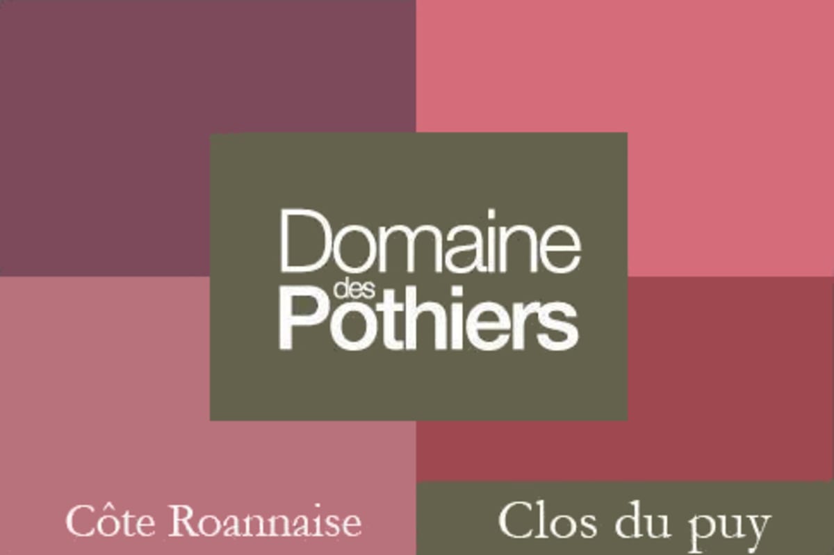Domaine des Pothiers Cote Roannaise Clos du Puy 2013 Front Label
