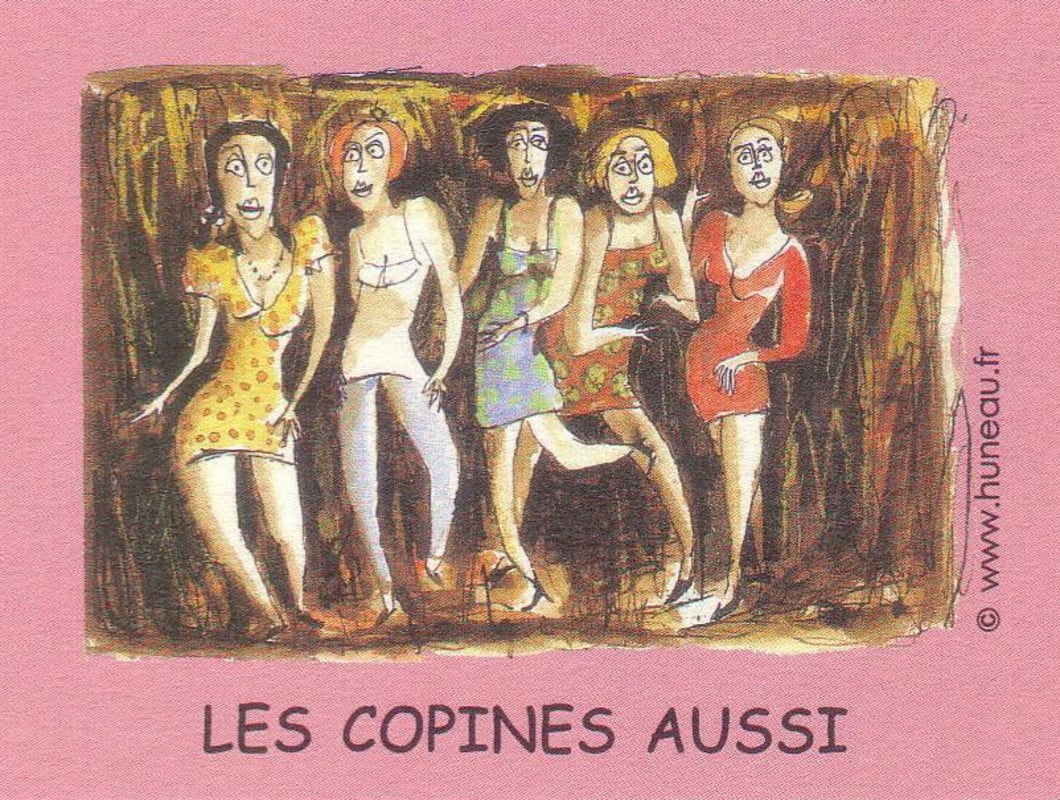 Domaine des Sablonnettes Anjou Les Copines Aussi Rouge 2015 Front Label