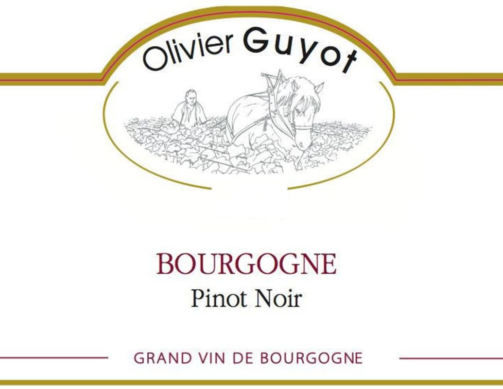 Domaine Olivier Guyot Bourgogne Pinot Noir 2011 Front Label